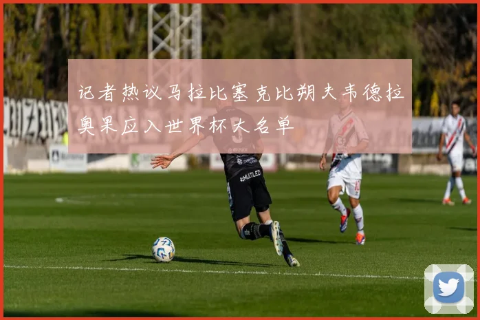 记者热议马拉比塞克比朔夫韦德拉奥果应入世界杯大名单